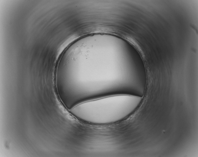 X0000102501138200808080939