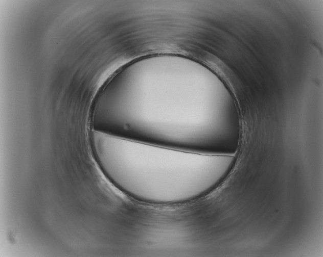 X0000102501141200808080939