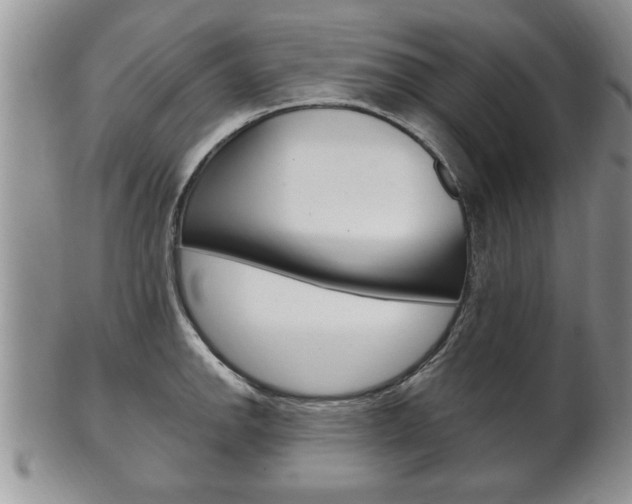 X0000102501142200808080939