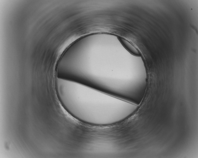 X0000102501143200808080939