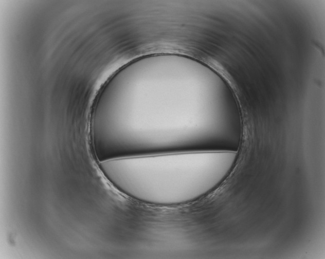 X0000102501144200808080939