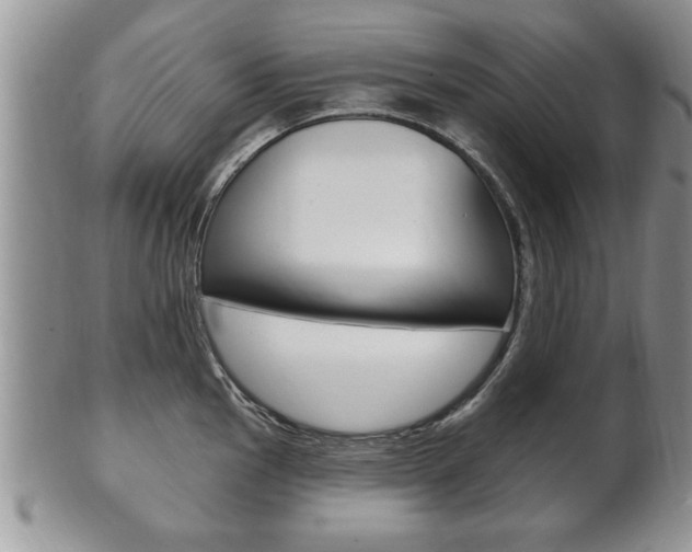 X0000102501145200808080939