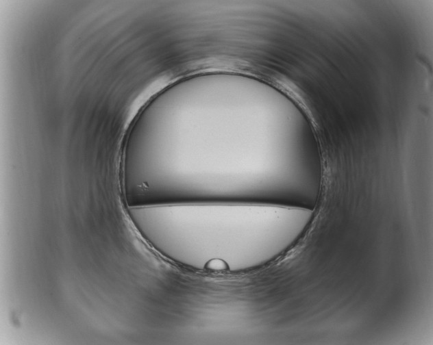 X0000102501146200808080939