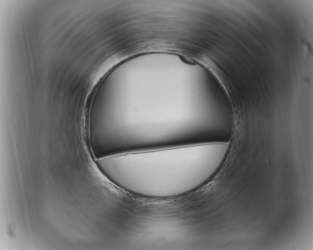 X0000102501147200808080939