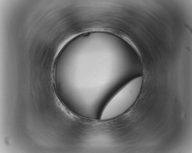 X0000102501148200808080939