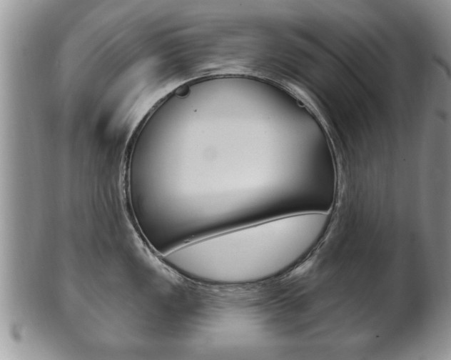 X0000102501149200808080939