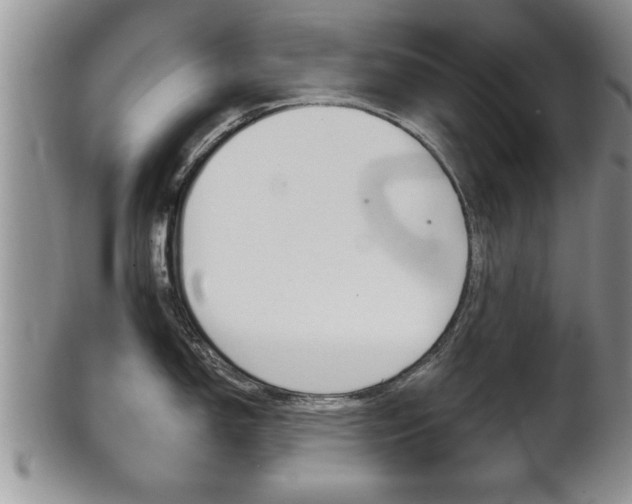 X0000102501150200808080939