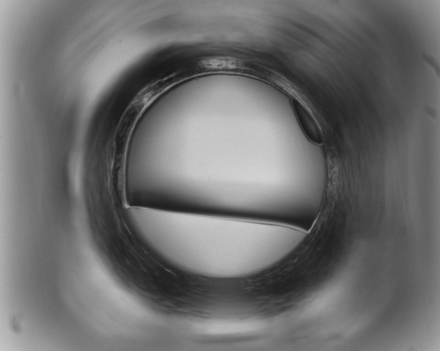 X0000102501151200808080939