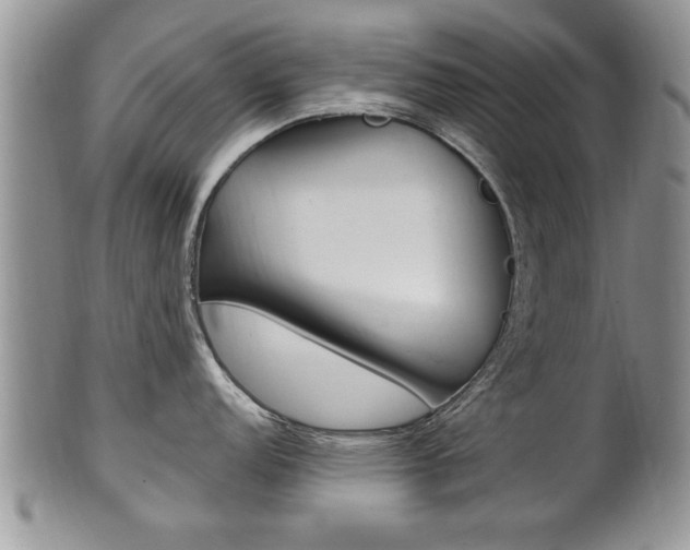 X0000102501152200808080939