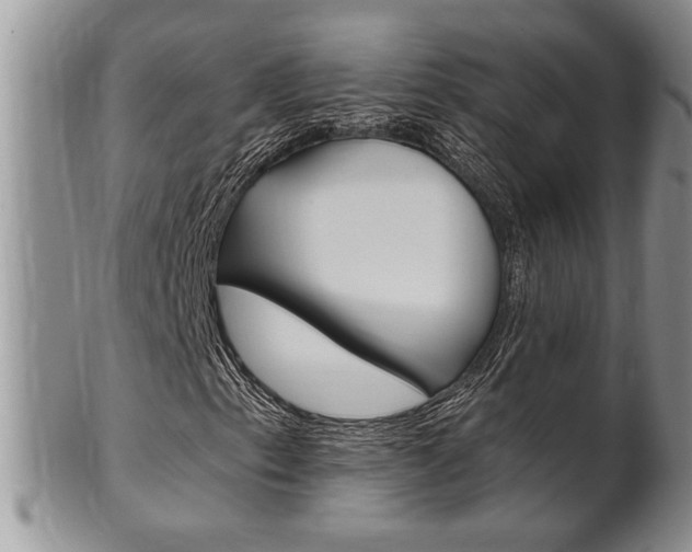 X0000102501153200808080938