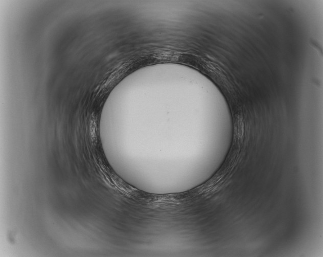 X0000102501154200808080938