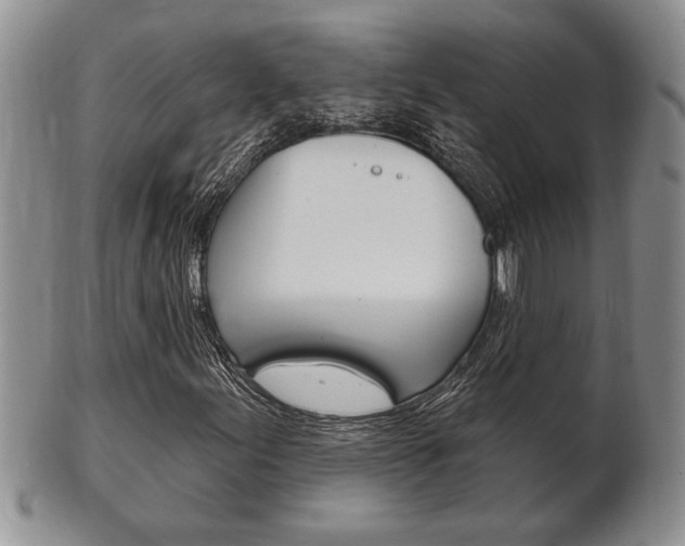 X0000102501155200808080938