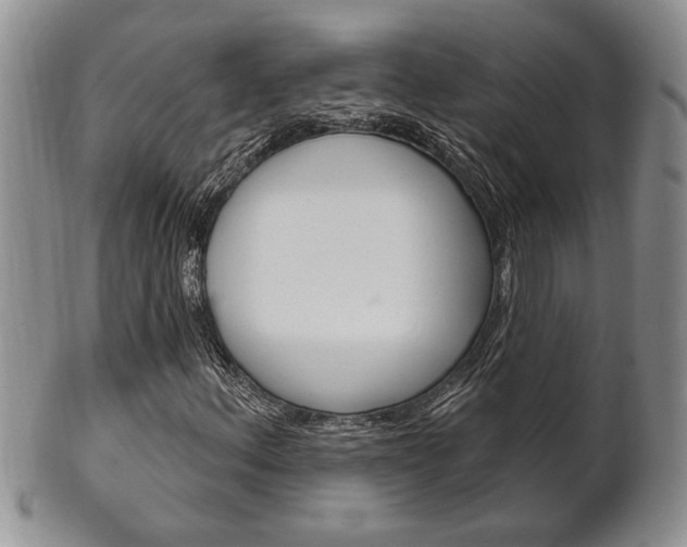 X0000102501156200808080938