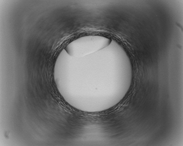 X0000102501157200808080938