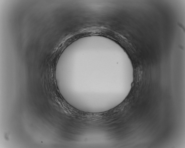 X0000102501158200808080938