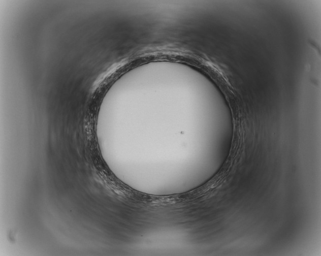 X0000102501159200808080938