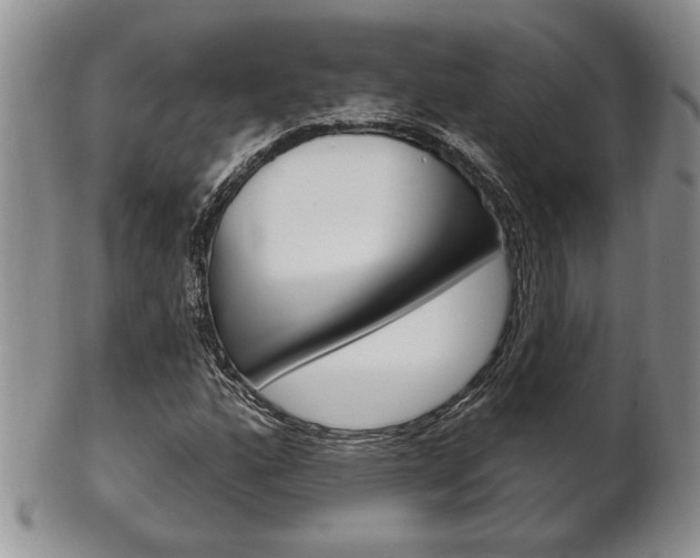 X0000102501160200808080938