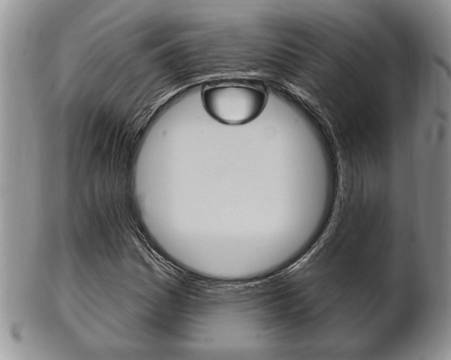 X0000102501161200808080938