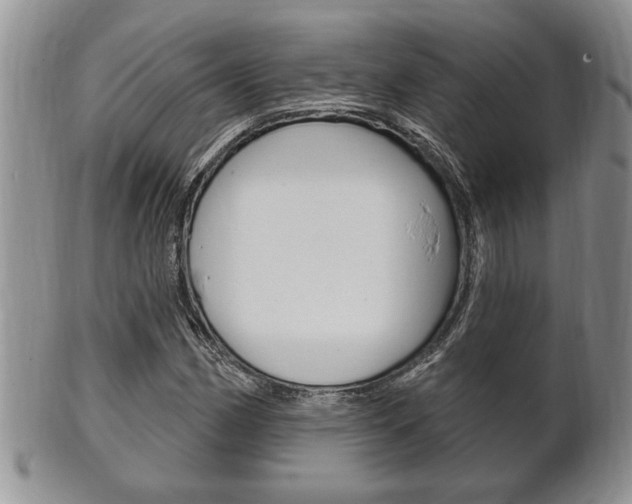 X0000102501162200808080938