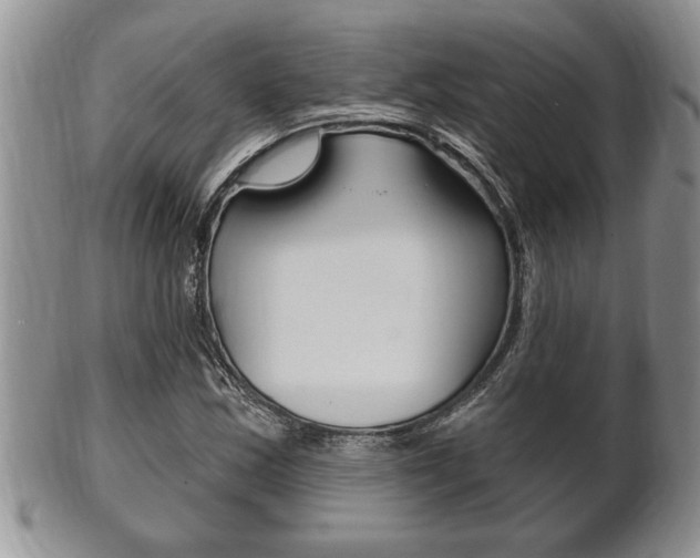 X0000102501163200808080938