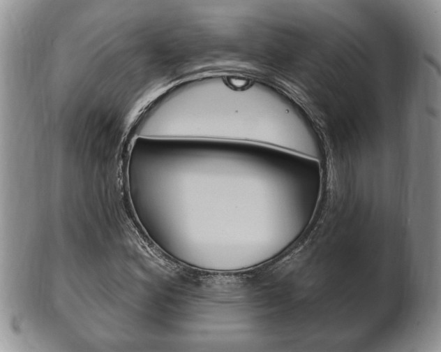 X0000102501164200808080938