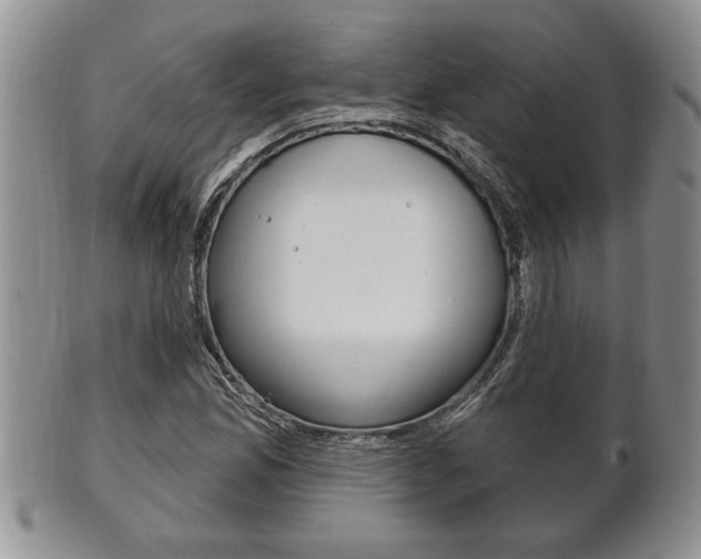X0000102501165200808080938