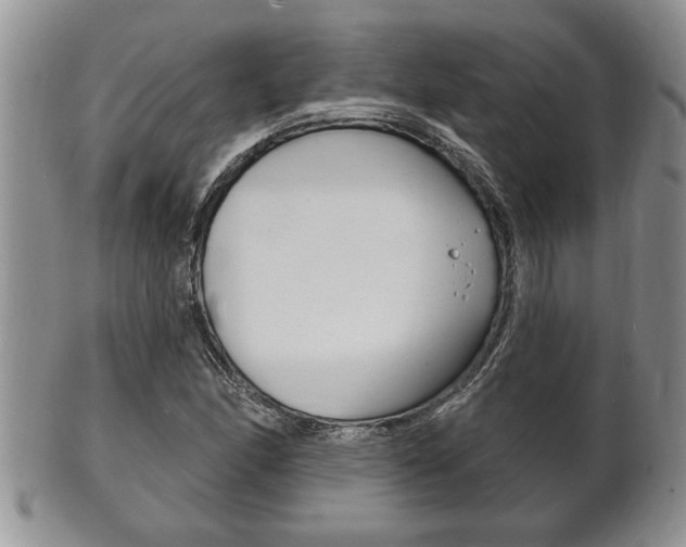 X0000102501166200808080938