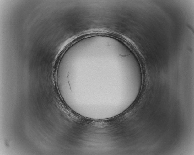 X0000102501168200808080938