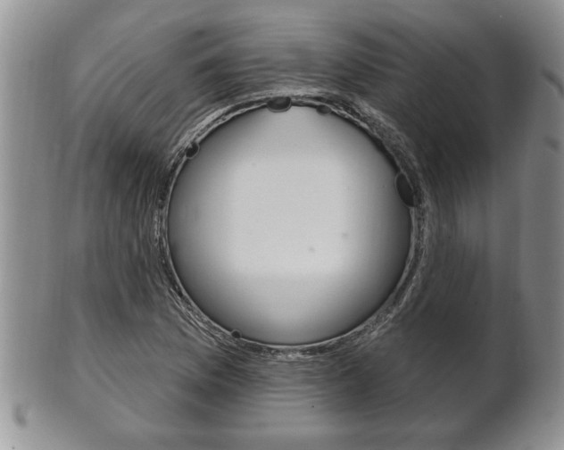 X0000102501169200808080938