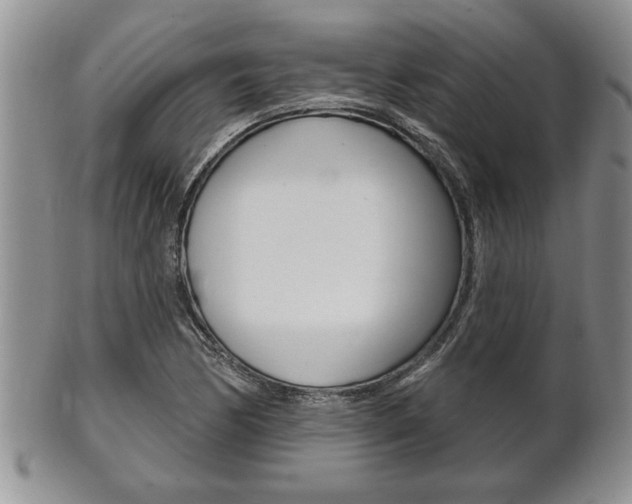 X0000102501170200808080938