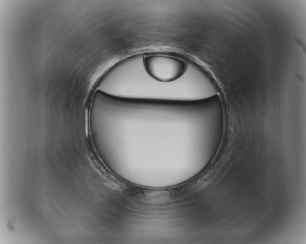 X0000102501171200808080938
