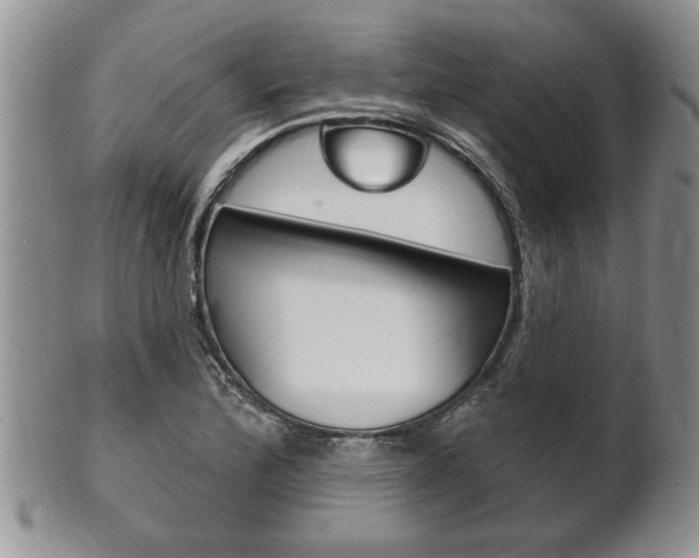 X0000102501172200808080938