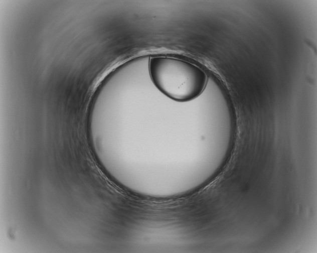 X0000102501173200808080938