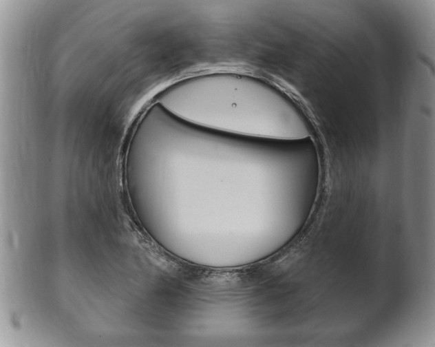 X0000102501174200808080938