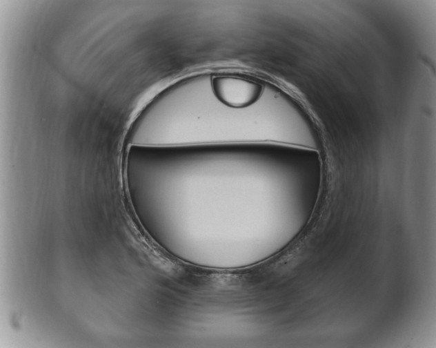 X0000102501176200808080938