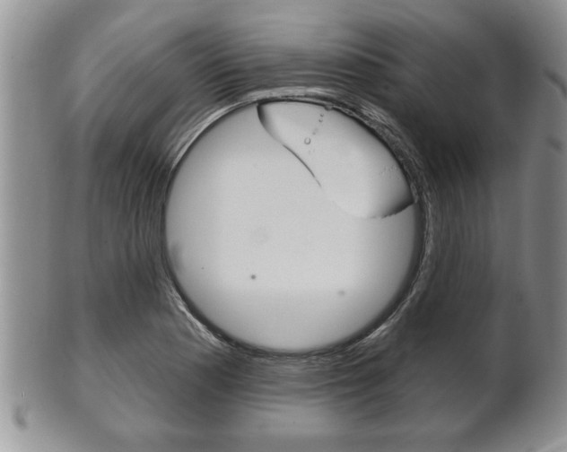X0000102501177200808080938