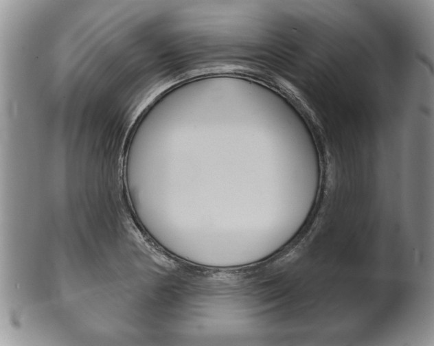 X0000102501178200808080938