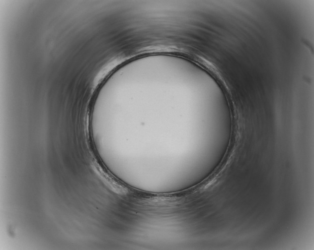 X0000102501179200808080938