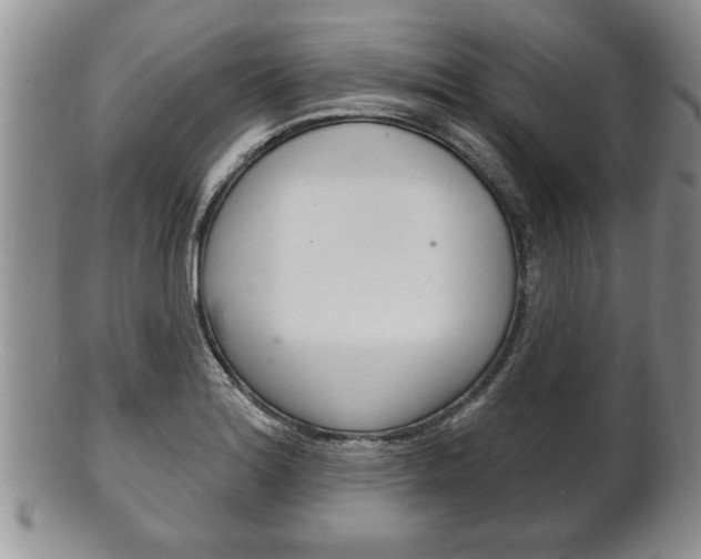 X0000102501180200808080938
