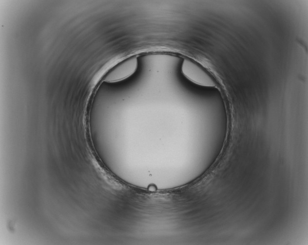 X0000102501181200808080938