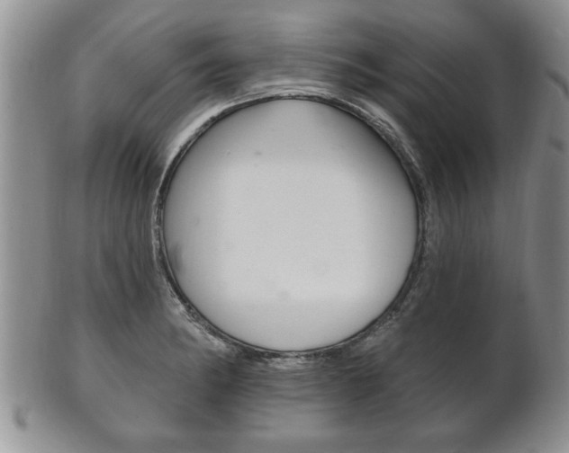 X0000102501182200808080938
