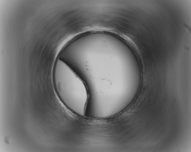 X0000102501183200808080938