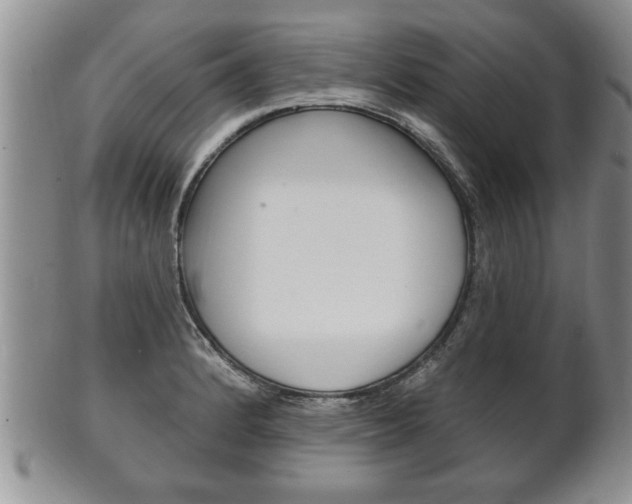 X0000102501184200808080938