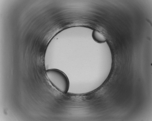 X0000102501185200808080938