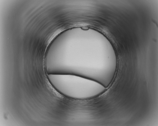 X0000102501186200808080938