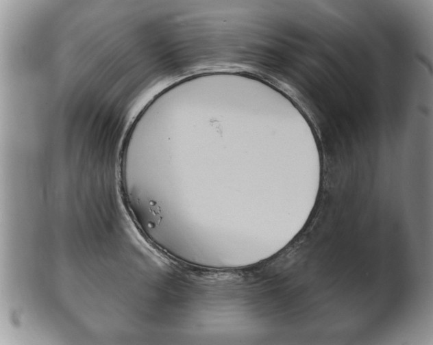 X0000102501187200808080938