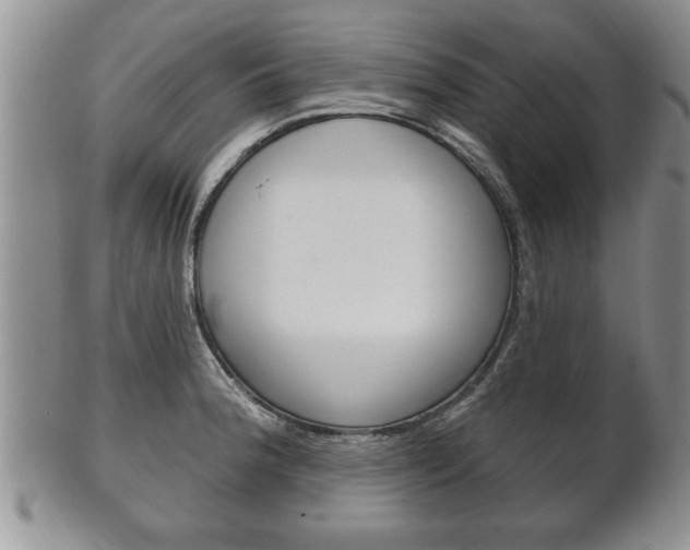 X0000102501188200808080938