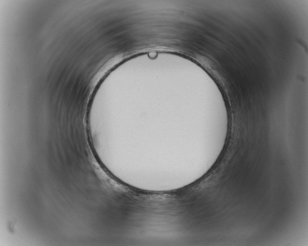 X0000102501189200808080938