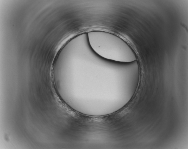 X0000102501190200808080938