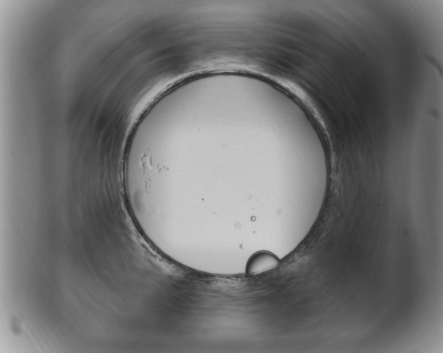 X0000102501191200808080938